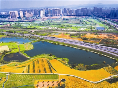 成都打造龙泉山城市森林公园 2020年初步建成