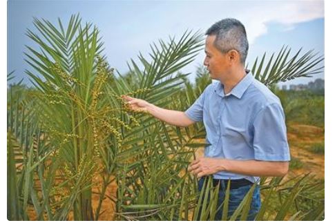 中外热带农业科技合作结硕果