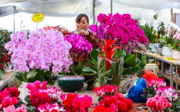 河南光山:人勤春来早
