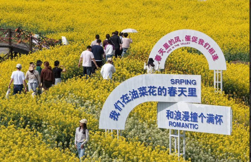 “赏花+”正当时!多元体验解锁春日消