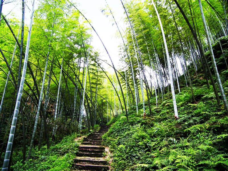 �й���ɫ�����Ĵ�ʡ���������ҵ�����������