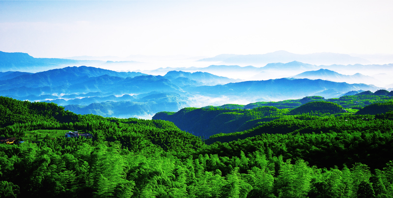 �й���ɫ�����Ĵ�ʡ���������ҵ�����������