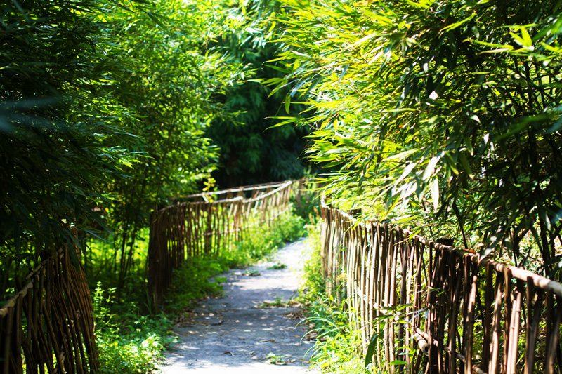 �й���ɫ�����Ĵ�ʡ���������ҵ�����������