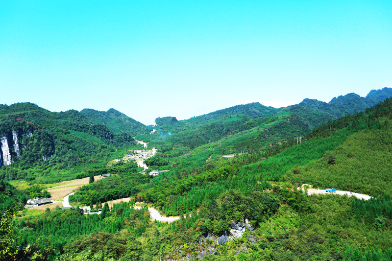 �й���ɫ�����Ĵ�ʡ���������ҵ�����������