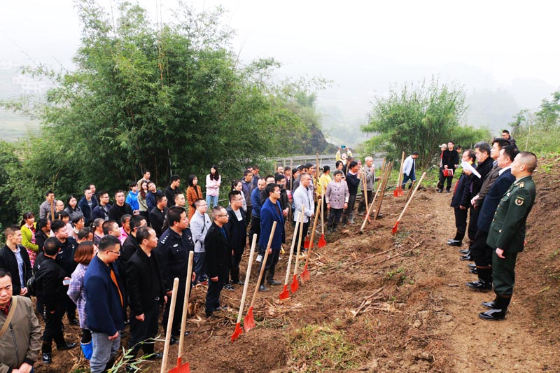 �˳��˰������ʾ�������Ķ���������������Ч�������ؽ��������ģ�̻�