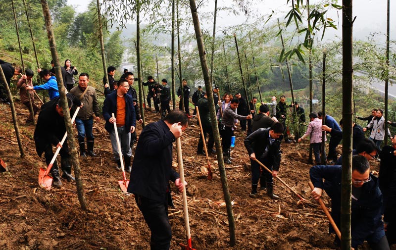 �˳��˰������ʾ�������Ķ���������������Ч�������ؽ��������ģ�̻�