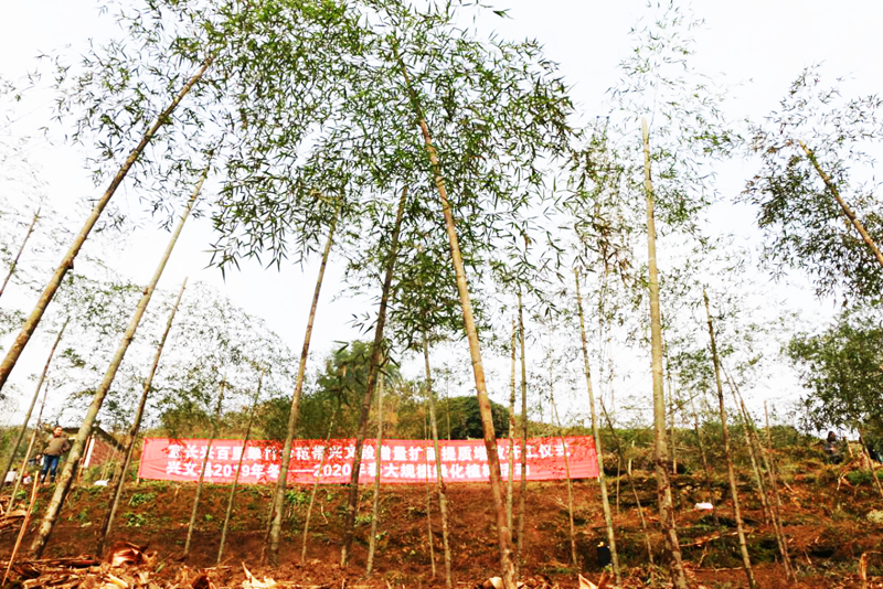 �˳��˰������ʾ�������Ķ���������������Ч�������ؽ��������ģ�̻�