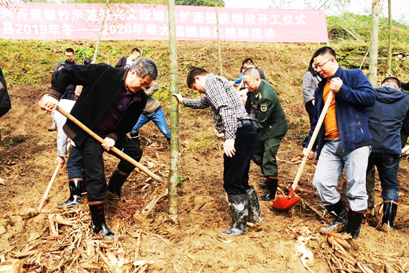 �˳��˰������ʾ�������Ķ���������������Ч�������ؽ��������ģ�̻�