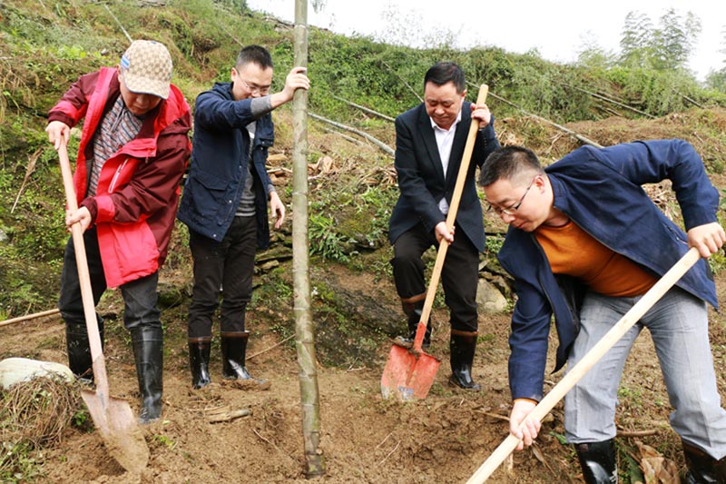 �˳��˰������ʾ�������Ķ���������������Ч�������ؽ��������ģ�̻�