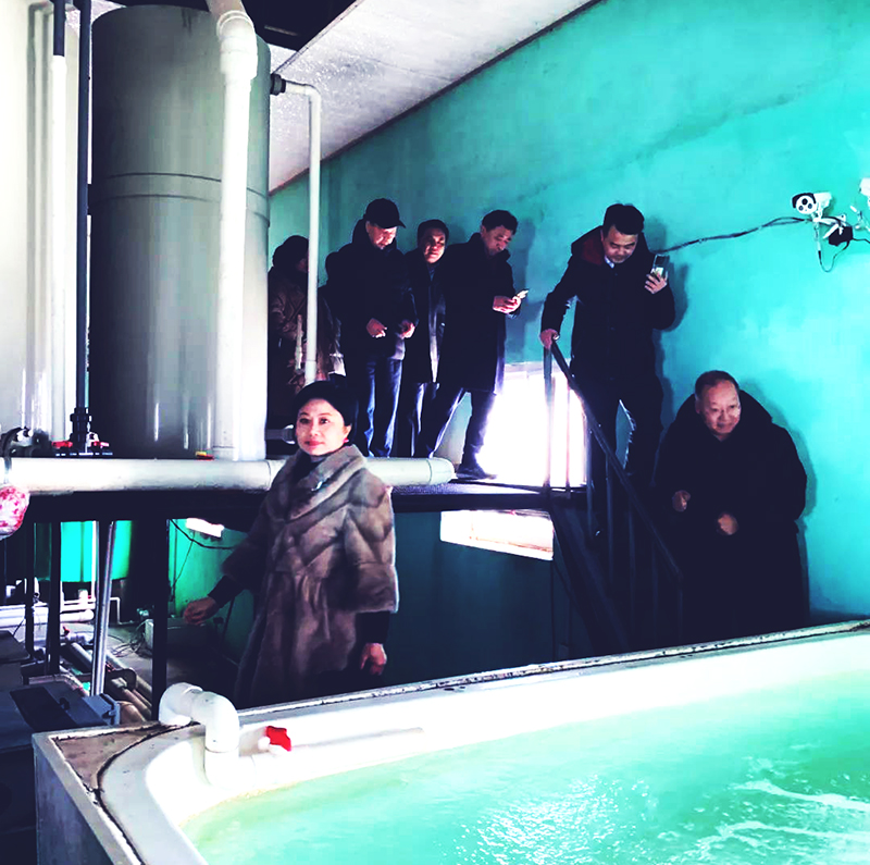 �й�Ͷ��Э��ũͶί��֯ר�ҵ���Ͷ�������������������޹�˾����