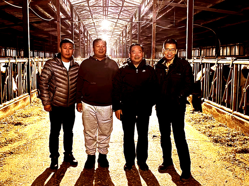 中国投资协会农投委乡村振兴专家委员会在吉林调研肉牛养殖场(三)
