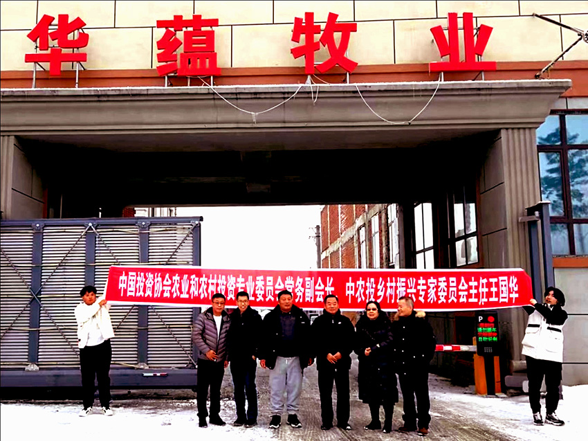 中国投资协会农投委乡村振兴专家委员会在吉林调研肉牛养殖场(三)