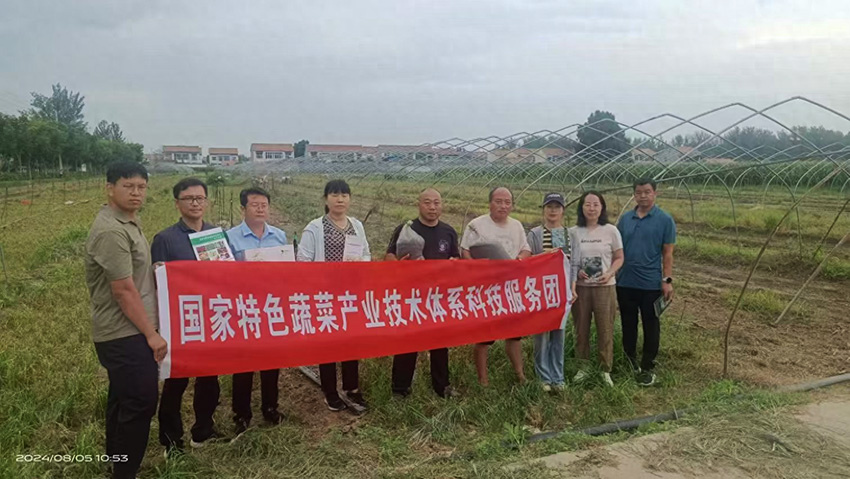 农业科技帮帮团出发!国家特色蔬菜产业技术体系在柘城开展服务