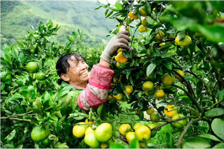 �������գ���ɫˮ����Ϊ�¸���ҵ