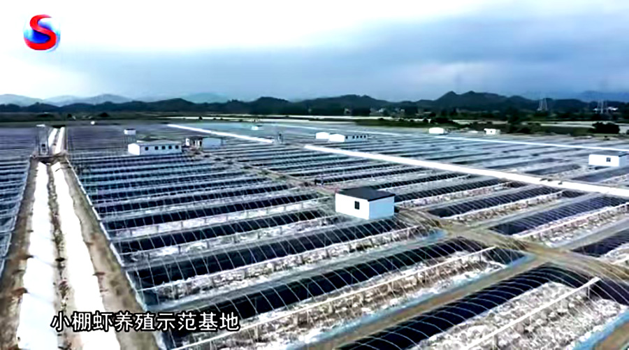  �����Ϻ�������������-��ũͶ�������ר��ίԱ�������������ڹ㶫½���ų������С����Ϻ����ɫũҵ