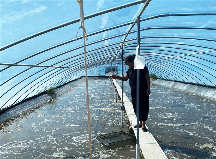  �����Ϻ�������������-��ũͶ�������ר��ίԱ�������������ڹ㶫½���ų������С����Ϻ����ɫũҵ