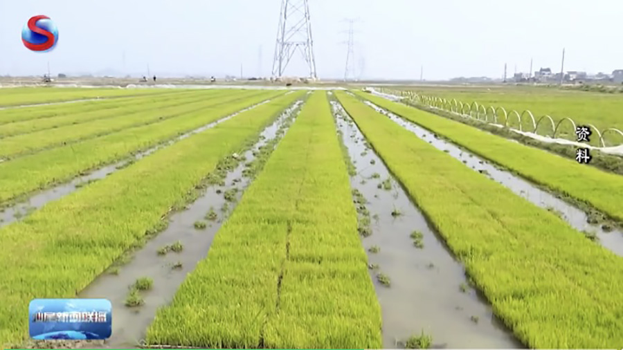  �����Ϻ�������������-��ũͶ�������ר��ίԱ�������������ڹ㶫½���ų������С����Ϻ����ɫũҵ