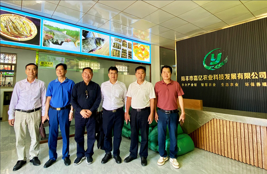  �����Ϻ�������������-��ũͶ�������ר��ίԱ�������������ڹ㶫½���ų������С����Ϻ����ɫũҵ