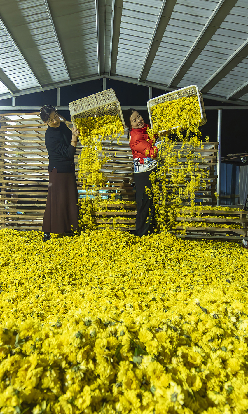 �������飺С�ƾճ����¸�ɡ