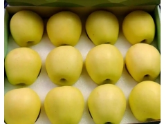 着力做强做优特色农产品品牌 大连瓦