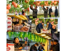 政策赋能兴产业 骏马扬鞭 绘就辽宁