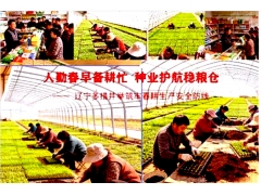 人勤春早备耕忙 种业护航稳粮仓 — 辽宁多措并举筑